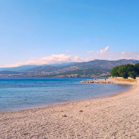 Neu - Vinomare - Neu Appartement