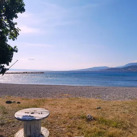 Neu - Vinomare - Neu