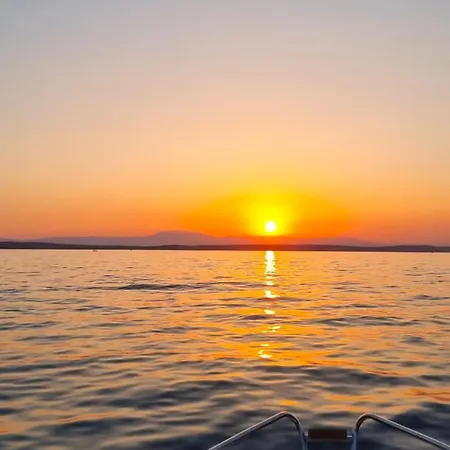 Neu - Vinomare - Neu