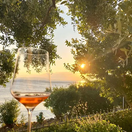 Neu - Vinomare - Neu * Krmpote-Vodice