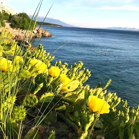 Neu - Vinomare - Neu Apartment Krmpote-Vodice