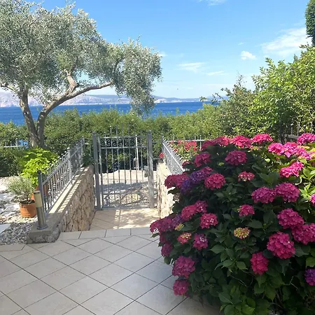 Apartman Neu - Vinomare - Neu Krmpote-Vodice