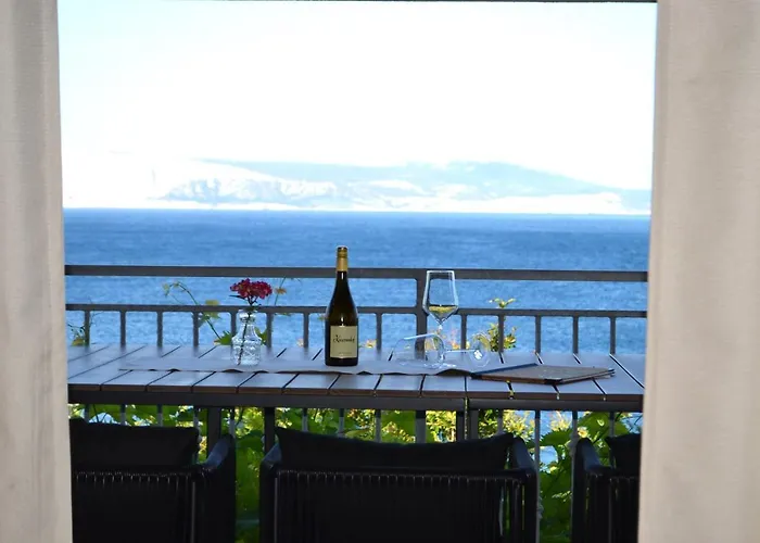 Neu - Vinomare - Neu 公寓 Krmpote-Vodice