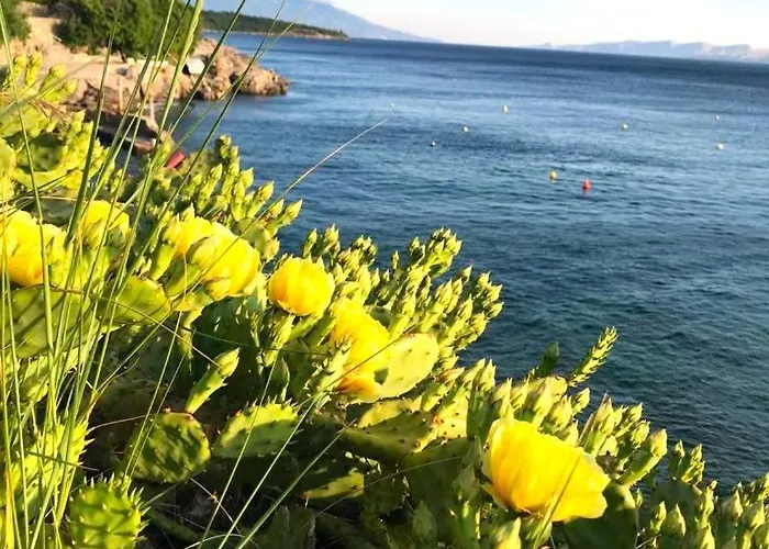 Neu - Vinomare - Neu 公寓 Krmpote-Vodice