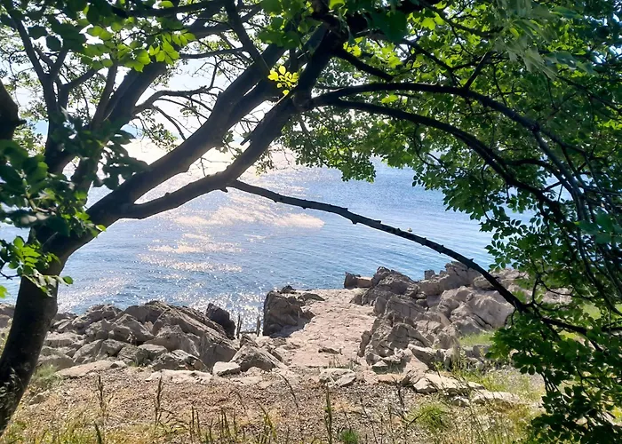 Neu - Vinomare - Neu * Krmpote-Vodice